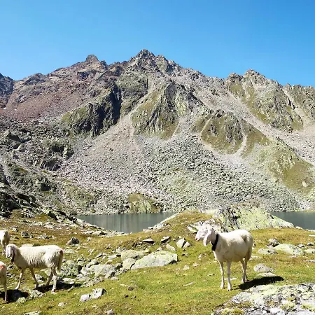 Lägenhet Kraxner - So632 Sölden
